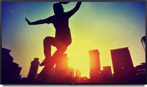 �������������� ������  Nec Multisync P484