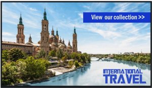 Информационная панель Panasonic TH-49SF2E Информационная панель Panasonic TH-49SF2E