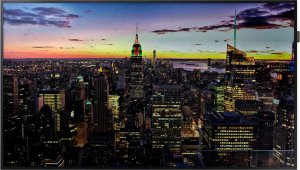 ������������� ������ Nec MultiSync V554Q IGB