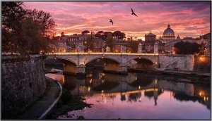 �������������� ������  Samsung QB55R