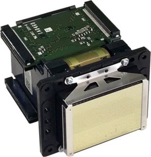 Epson ���������� ������ ���   DX6