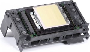 Epson ���������� ������ ���   XP600