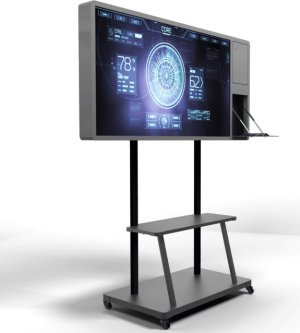 Интерактивная панель BM Group Storm S Standard с документ-камерой, 55" Интерактивная панель BM Group Storm S Standard с документ-камерой, 55"