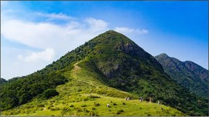 Информационная панель Elittech EliteBoard PK555FCBN, для видеостен, 55" FHD, суммарная толщина рамок 3.5 мм Информационная панель Elittech EliteBoard PK555FCBN, для видеостен, 55" FHD, суммарная толщина рамок 3.5 мм