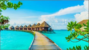 Информационная панель Elittech EliteBoard PK557FDLN, для видеостен, 55" FHD, суммарная толщина рамок 1.8 мм Информационная панель Elittech EliteBoard PK557FDLN, для видеостен, 55" FHD, суммарная толщина рамок 1.8 мм