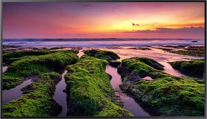 Информационная панель Samsung Профессиональный дисплей QB55B, 55" VA UHD, 350 нит, WiFi, Bluetooth Информационная панель Samsung Профессиональный дисплей QB55B, 55" VA UHD, 350 нит, WiFi, Bluetooth