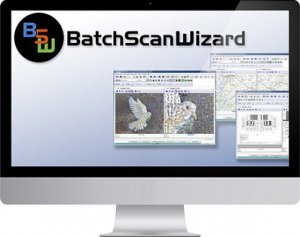 ����������� �����������  Batch Scan Wizard