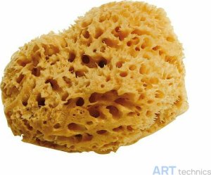 Материал для реставрации Deffner & Johann Натуральная губка, диам. 12-13 см Материал для реставрации Deffner & Johann Натуральная губка, диам. 12-13 см