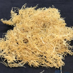 ART Technics ������������ ���� Fu-Nori, 100 �