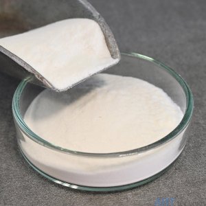 Tylose ����������� �� ������ �������������������������� Tylose� MH 300 P2, ����� 100 �