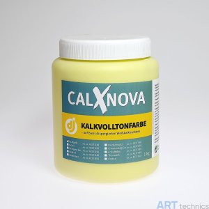 CalXnova ����������� ���������� ������ CalXnova, 1 �� (����� � ������������)