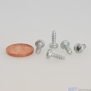 Оснащение мастерских Temart Шурупы Temart, оцинкованные, разм. 3,0 x 10,0 мм, для упругих пластин Оснащение мастерских Temart Шурупы Temart, оцинкованные, разм. 3,0 x 10,0 мм, для упругих пластин