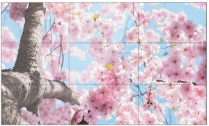 �������������� ������  Diello ProWall DVW-4608BS