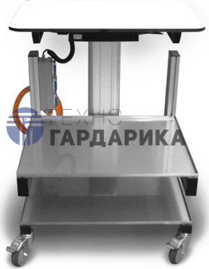 ����� ���������������  ���� ��� ������������ � �����������