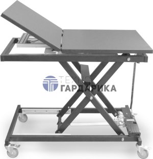 ����� ���������������  ������� ���� � ������� ���������