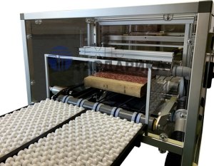 ��������������� ������  ������ Nebula (������)